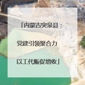 内蒙古突泉县：党建引领聚合力 以工代赈促增收