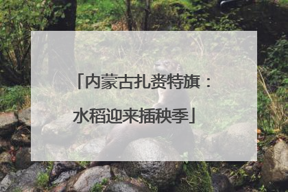 内蒙古扎赉特旗：水稻迎来插秧季