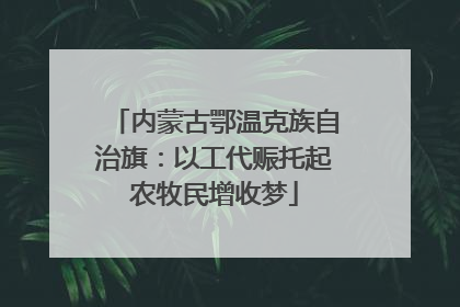 内蒙古鄂温克族自治旗：以工代赈托起农牧民增收梦