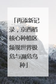 再添新记录，京西稻核心种植区频现世界极危与濒危鸟种