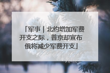 军事｜北约增加军费开支之际，普京却宣布俄将减少军费开支