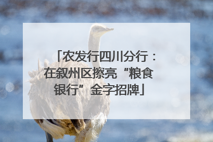 农发行四川分行：在叙州区擦亮“粮食银行”金字招牌