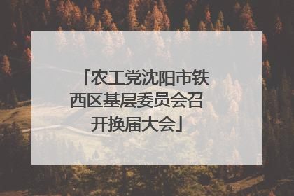 农工党沈阳市铁西区基层委员会召开换届大会