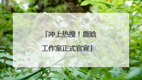 冲上热搜！鹿晗工作室正式官宣