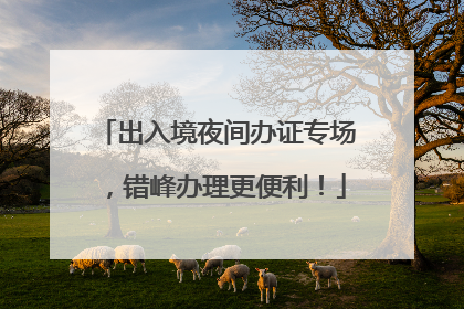 出入境夜间办证专场，错峰办理更便利！