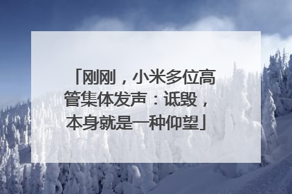 刚刚，小米多位高管集体发声：诋毁，本身就是一种仰望