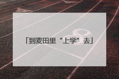 到麦田里“上学”去