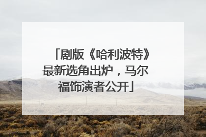 剧版《哈利波特》最新选角出炉，马尔福饰演者公开
