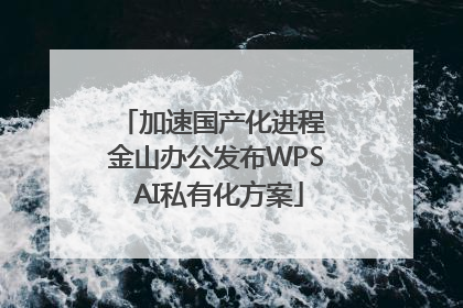 加速国产化进程 金山办公发布WPS AI私有化方案