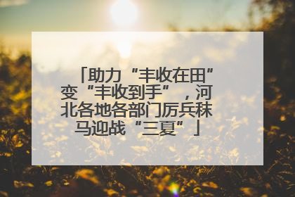 助力“丰收在田”变“丰收到手”，河北各地各部门厉兵秣马迎战“三夏”