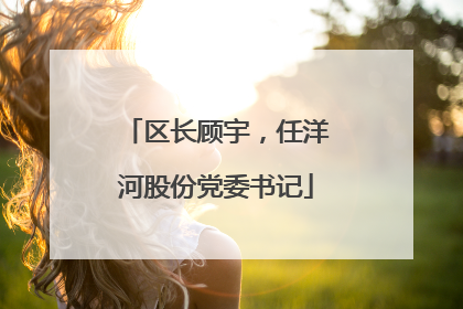 区长顾宇，任洋河股份党委书记