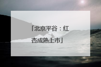 北京平谷：红杏成熟上市