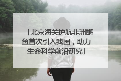 北京海关护航非洲鳉鱼首次引入我国，助力生命科学前沿研究