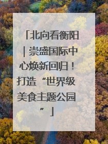 北向看衡阳｜崇盛国际中心焕新回归！打造“世界级美食主题公园”
