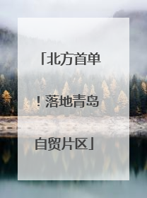北方首单！落地青岛自贸片区