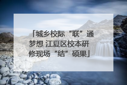 城乡校际“联”通梦想 江夏区校本研修现场“结”硕果