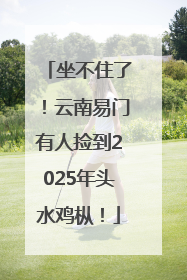 坐不住了！云南易门有人捡到2025年头水鸡枞！