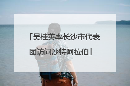 吴桂英率长沙市代表团访问沙特阿拉伯