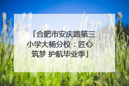 合肥市安庆路第三小学大杨分校：匠心筑梦 护航毕业季