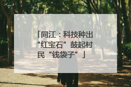 同江：科技种出“红宝石”鼓起村民“钱袋子”