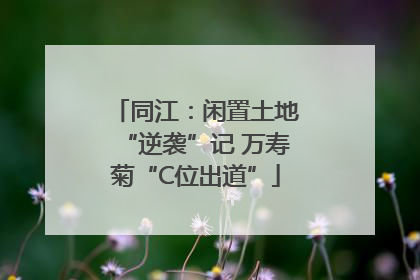 同江：闲置土地“逆袭”记 万寿菊“C位出道”
