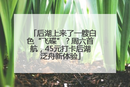 后湖上来了一艘白色“飞碟”？周六首航，45元打卡后湖泛舟新体验