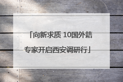 向新求质 10国外籍专家开启西安调研行