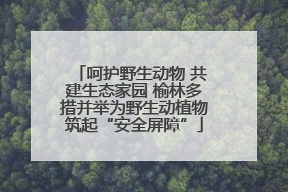 呵护野生动物 共建生态家园 榆林多措并举为野生动植物筑起“安全屏障”