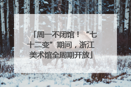 周一不闭馆！“七十二变”期间，浙江美术馆全周期开放