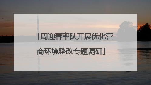 周迎春率队开展优化营商环境整改专题调研