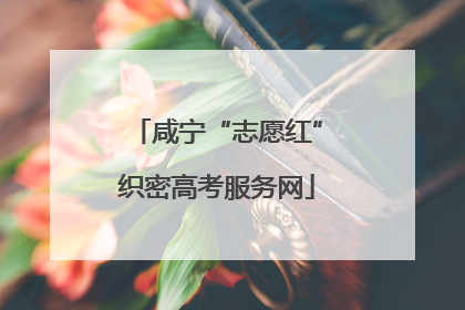 咸宁“志愿红”织密高考服务网