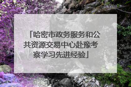 哈密市政务服务和公共资源交易中心赴豫考察学习先进经验