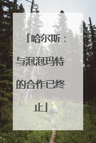 哈尔斯：与泡泡玛特的合作已终止