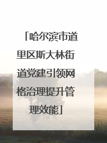 哈尔滨市道里区斯大林街道党建引领网格治理提升管理效能