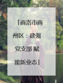 商洛市商州区：建强党支部 赋能新业态