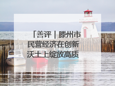 善评｜滕州市民营经济在创新沃土上绽放高质量发展之花
