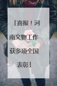 喜报！河南文物工作获多项全国表彰