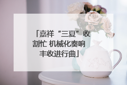 嘉祥“三夏”收割忙 机械化奏响丰收进行曲