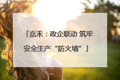 嘉禾：政企联动 筑牢安全生产“防火墙”