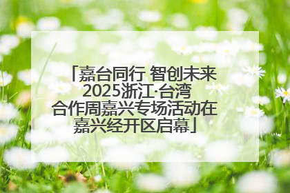 嘉台同行 智创未来 2025浙江·台湾合作周嘉兴专场活动在嘉兴经开区启幕