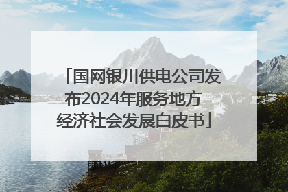 国网银川供电公司发布2024年服务地方经济社会发展白皮书