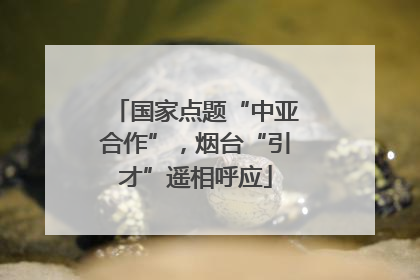 国家点题“中亚合作”，烟台“引才”遥相呼应