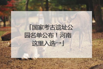 国家考古遗址公园名单公布！河南这里入选→