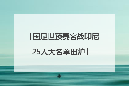 国足世预赛客战印尼25人大名单出炉