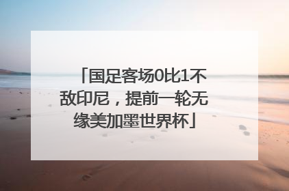 国足客场0比1不敌印尼，提前一轮无缘美加墨世界杯