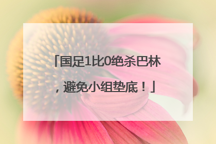 国足1比0绝杀巴林，避免小组垫底！