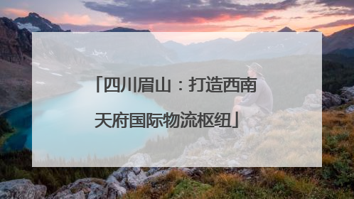 四川眉山：打造西南天府国际物流枢纽