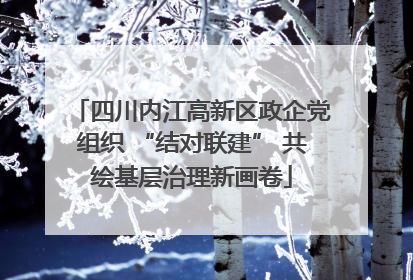 四川内江高新区政企党组织 “结对联建” 共绘基层治理新画卷