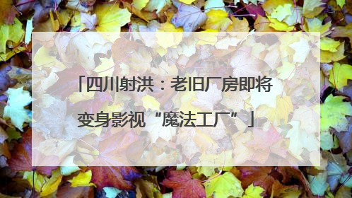 四川射洪：老旧厂房即将变身影视“魔法工厂”