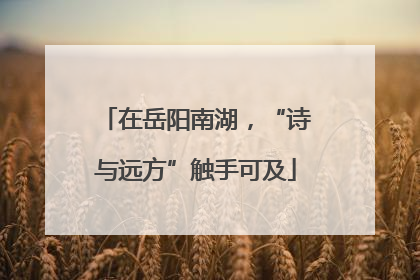 在岳阳南湖，“诗与远方”触手可及